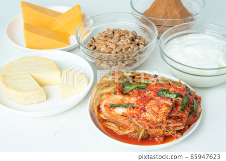 Fermented food intestinal activity 85947623