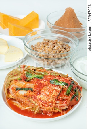 Fermented food intestinal activity 85947628