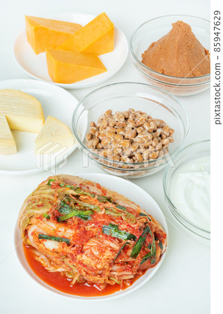 Fermented food intestinal activity Fermented food intestinal activity 85947629