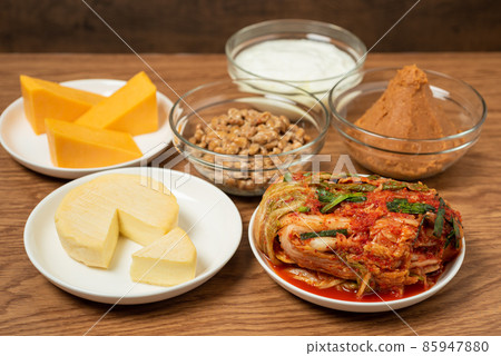 Fermented food intestinal activity 85947880