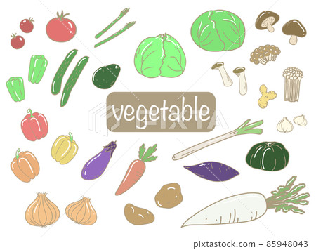 時尚手寫蔬菜插圖集 時尚手寫蔬菜插圖集 85948043