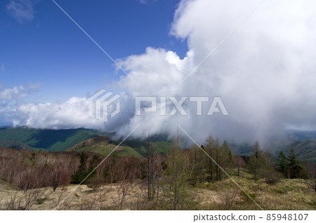The fog climbs on the plateau and the contrast with the blue sky is beautiful. The fresh green mountain surface is also beautiful 85948107