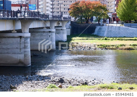 Daily walk course 85948481