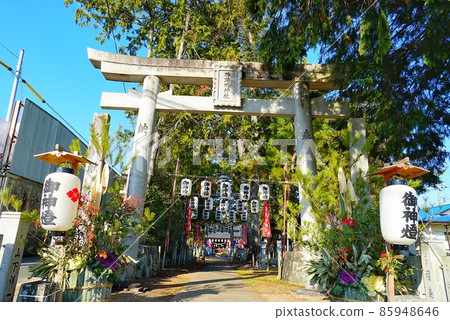 勝數眾多的吉祥勝田神社 勝數眾多的吉祥勝田神社 85948646