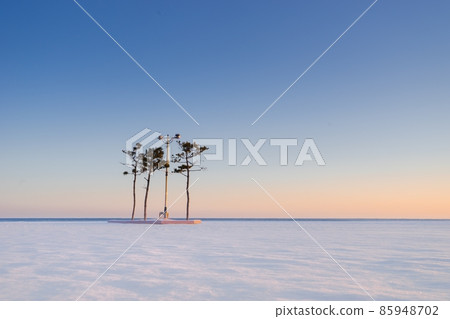 Sunrise at Naksan Beach 85948702