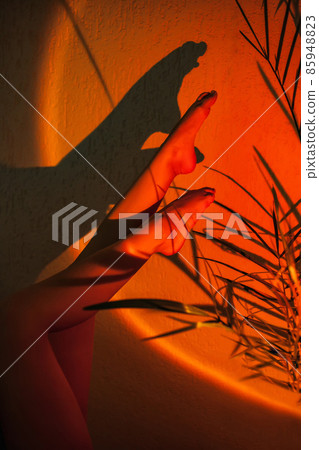 Women's legs pointing upwards, in the beam of a lamp projecting the sunset, and the shadows from the palm leaves. Concept of skin care and foot health 85948823