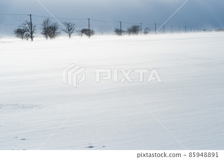 Snowstorm in Hokkaido 85948891