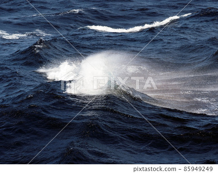 wave with rainbow wave with rainbow 85949249