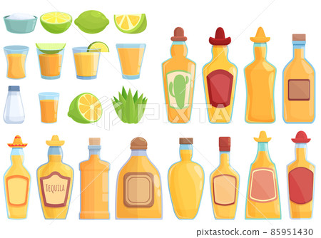 Tequila icons set cartoon vector. Mexico alcohol 85951430