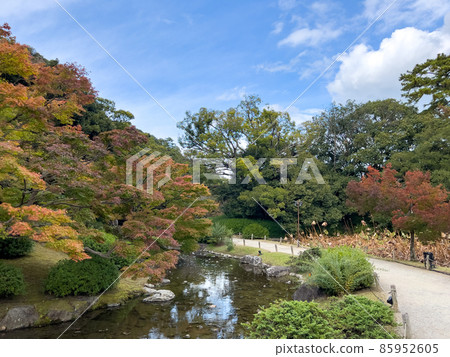 Ritsurin Garden in mid-autumn (early November) 85952605