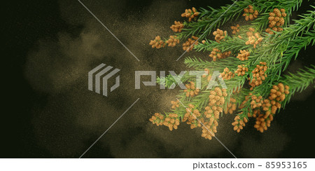 雪松花粉花粉症插圖真實 85953165