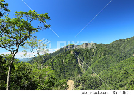 台灣百岳登山健行 小關山 台灣百岳登山健行 小關山 85953601