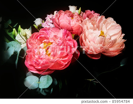 Bouquet with peonies, Paeonia suffruticosa, against dark background Bouquet with peonies, Paeonia suffruticosa, against dark background 85954784