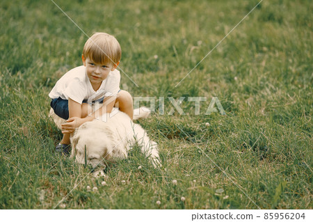 Little boy playing with his dog on a grass Little boy playing with his dog on a grass 85956204
