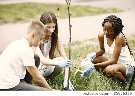 Young volunteers planting a tree together at park Young volunteers planting a tree together at park 85956339