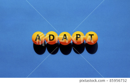 Adapt symbol. The concept word 'adapt' on orange table tennis balls. Beautiful blue table, blue background. Business, adaptation and adapt concept. Copy space. Adapt symbol. The concept word 'adapt' on orange table tennis balls. Beautiful blue table, blue background. Business, adaptation and adapt concept. Copy space. 85956732