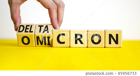 Covid-19 omicron or deltacron symbol. Doctor turns cubes and changes the word omicron to deltacron. Beautiful white background. Medical, covid-19 corona omicron or deltacron concept. Copy space. 85956733