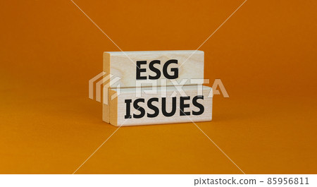 ESG environmental social governance issues symbol. Concept words ESG issues on blocks on a beautiful orange background. Business, ESG environmental social governance issues concept. Copy space. 85956811