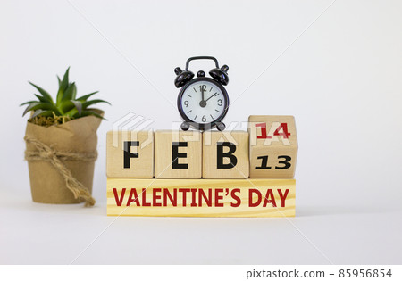 February 14 valentines day symbol. Fliped wooden cube with words 'Feb 14 valentines day'. Black alarm clock and plant. Beautiful white background, copy space. February 14 valentines day concept. February 14 valentines day symbol. Fliped wooden cube with words 'Feb 14 valentines day'. Black alarm clock and plant. Beautiful white background, copy space. February 14 valentines day concept. 85956854