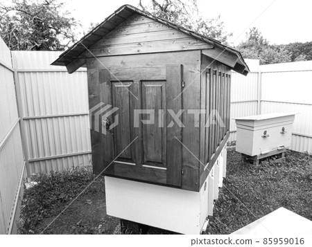 Winged bee slowly flies to beehive collect nectar Winged bee slowly flies to beehive collect nectar 85959016