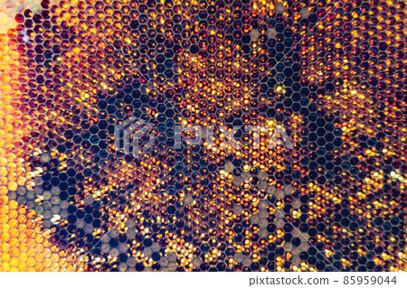 Honeycomb from bee hive filled with golden honey Honeycomb from bee hive filled with golden honey 85959044
