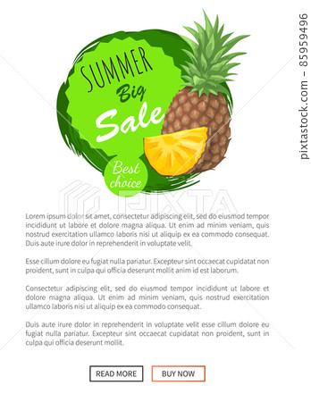 Summer Big Sale Summertime Poster Pineapple Fruit Summer Big Sale Summertime Poster Pineapple Fruit 85959496