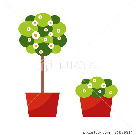 Room Plants, Tall Flora Reminding Tree Blooming 85959814