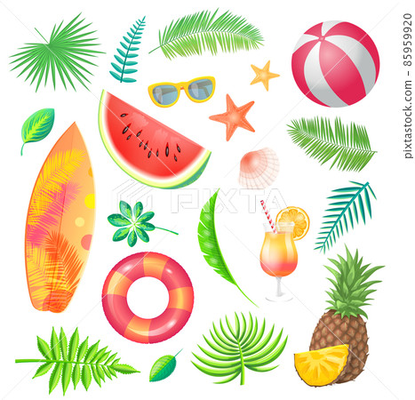 Summer Watermelon Fruit Set Vector Illustration Summer Watermelon Fruit Set Vector Illustration 85959920