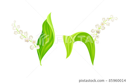 Blooming Lily of the Valley set. Beautiful spring flowers with leaves and buds. Decor element for wedding invitations, greeting card, fabric vector illustration Blooming Lily of the Valley set. Beautiful spring flowers with leaves and buds. Decor element for wedding invitations, greeting card, fabric vector illustration 85960014