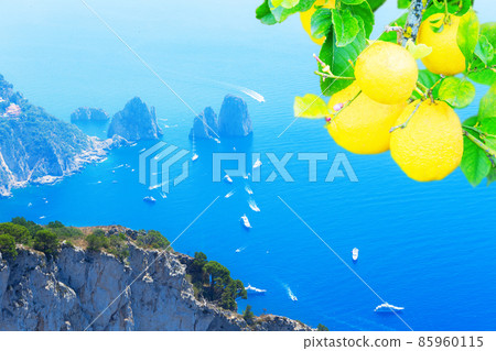 Capri island, Italy 85960115