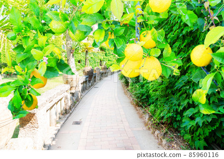Ravello village, Amalfi coast of Italy Ravello village, Amalfi coast of Italy 85960116