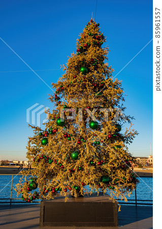 Afternoon view of a christmas tree, building in the Chisholm Creek area Afternoon view of a christmas tree, building in the Chisholm Creek area 85961557