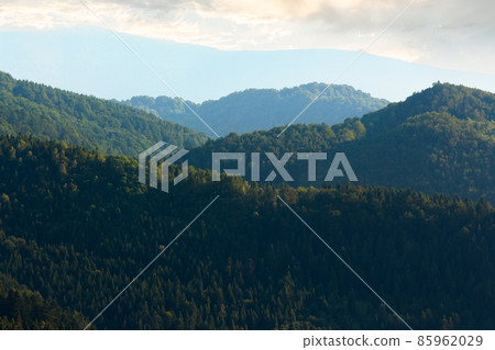 forested mountain ridge. beautiful nature scenery in summer afternoon forested mountain ridge. beautiful nature scenery in summer afternoon 85962029