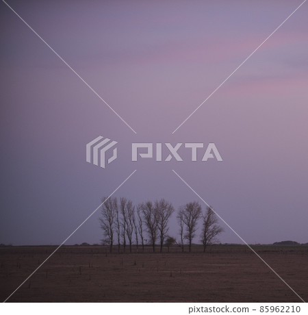 Landscape with windmill at sunset, Pampas, Patagonia,Argentina Landscape with windmill at sunset, Pampas, Patagonia,Argentina 85962210