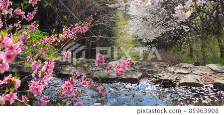 夏日風景 夏日風景 85963908