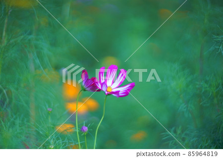 宇宙材料照片 85964819