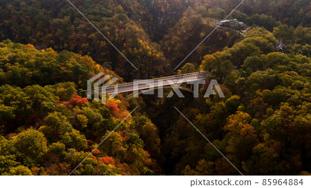 《宮城縣》秋葉鳴子京 《宮城縣》秋葉鳴子京 85964884