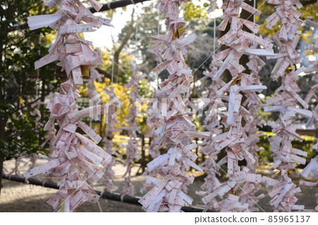 Shrine Omikuji Shrine Omikuji 85965137