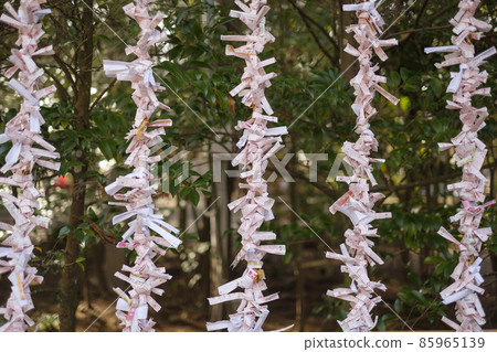 神社Omikuji 神社Omikuji 85965139