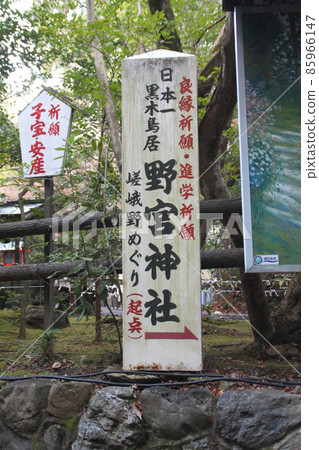 Nonomiya Shrine of Genji Monogatari Nonomiya Shrine of Genji Monogatari 85966147