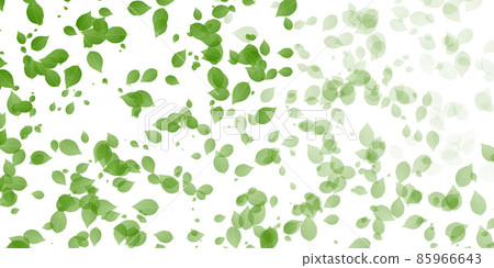 New green leaves landscape background New green leaves landscape background 85966643