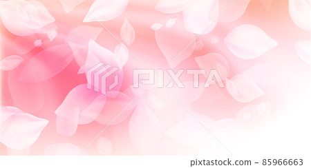 櫻花花瓣春天背景 85966663