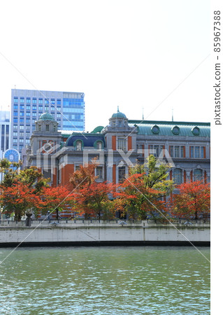 大阪市中央公共大廳藍天和紅葉風景 大阪市中央公共大廳藍天和紅葉風景 85967388