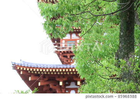 藥師寺7樓的一部分 85968388