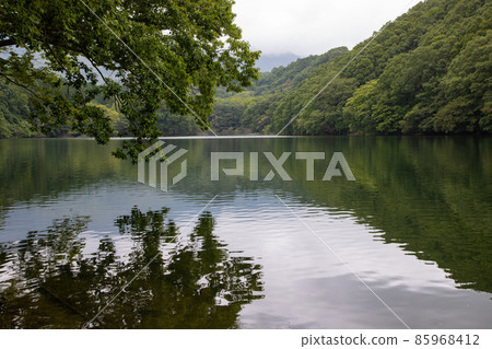 《Shichikashuku Town, Miyagi Prefecture》 Choro Lake September 《Shichikashuku Town, Miyagi Prefecture》 Choro Lake September 85968412