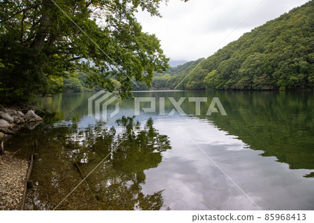 《Shichikashuku Town, Miyagi Prefecture》 Choro Lake September 85968413