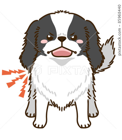 Menacing Japanese Chin 85968440