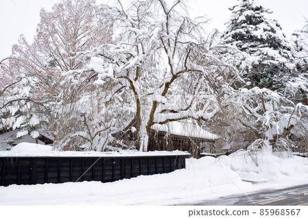角館冬武士住宅 85968567
