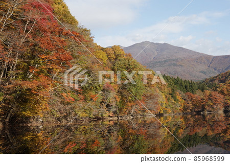 《Shichikashuku Town, Miyagi Prefecture》 Choro Lake November 《Shichikashuku Town, Miyagi Prefecture》 Choro Lake November 85968599