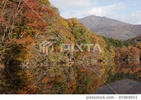 《Shichikashuku Town, Miyagi Prefecture》 Choro Lake November 《Shichikashuku Town, Miyagi Prefecture》 Choro Lake November 85968601